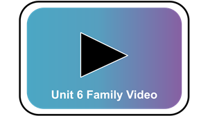 Unit 6 Family Video